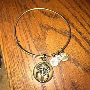 Alex an ani acorn